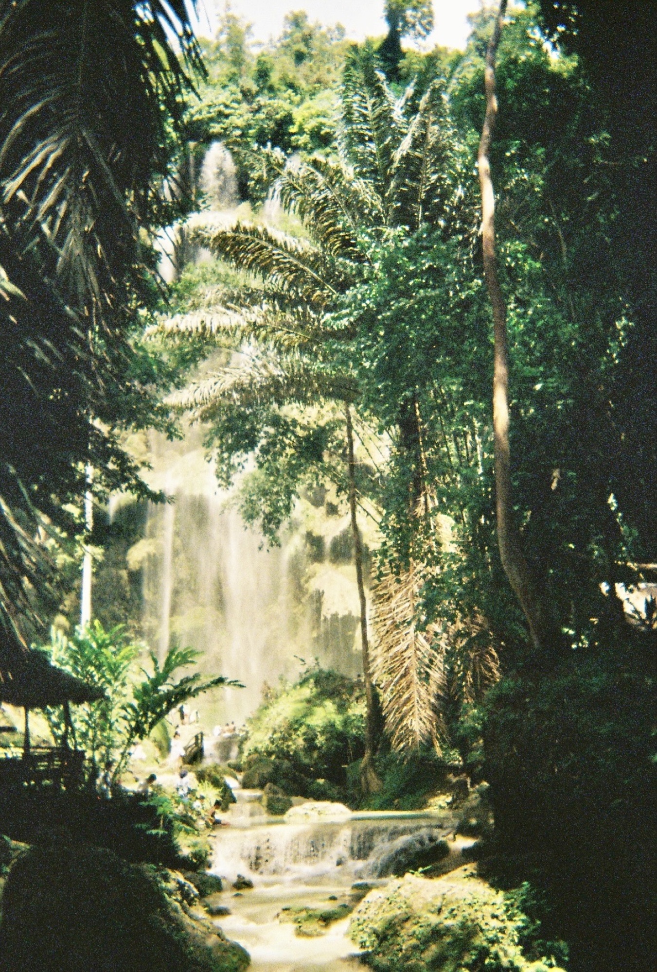 A tall waterfall seen through palm fronds and dense jungle greenery