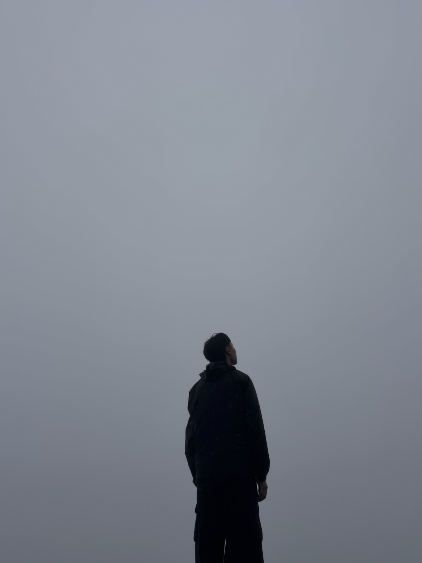Albert standing alone in thick fog, looking up at the sky